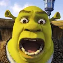 shrek320
