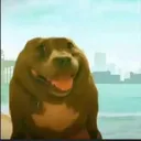 dunnoddd