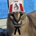 nouvraught avatar