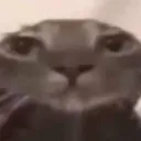 naboiji