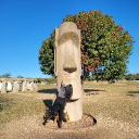 avatar Bellatrix7Black