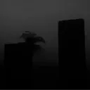 graphikyt