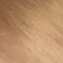 avatar 🐈‍⬛ +🐈