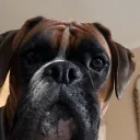 yt_sssamani