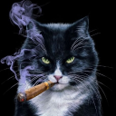 Discord Avatar