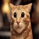 ohjay_ontiktok