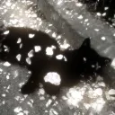 ohjay_ontiktok