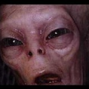 avatar Yasir Ali Haider