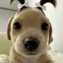 perthh.y_
