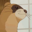 turboferret