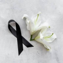 avatar Isa_Martins-TSB