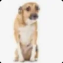 shouta_kun5436 avatar