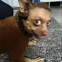 menezw__