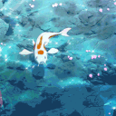 k0o0haku