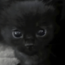 avatar ms6