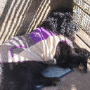 tukawaki0731410's Avatar