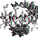 xxthebossjjoeexx