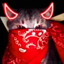 capyxz avatar