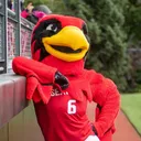 rudyredhawk