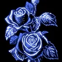 blueroseflores