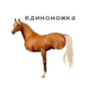 Аватар kerhmeer_matvei