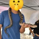 darksinger5622 avatar