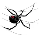 spidyboiiii