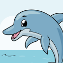 dolphin5050