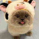 avatar 𝒚𝒂𝒅𝒊ツ