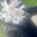 avatar ami