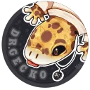 drgecko.exe