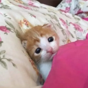 avatar Richard Miller