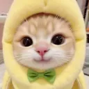 ahenzz
