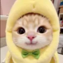 ahenzz
