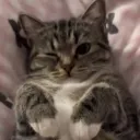 toooops