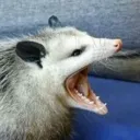 theprehistoricgamer
