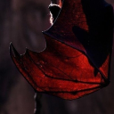 avatar ༒𝔅𝔞𝔱𝔅𝔦𝔱𝔠𝔥༒