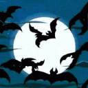 avatar ༒𝔅𝔞𝔱𝔅𝔦𝔱𝔠𝔥༒