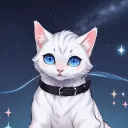 akozofbliss