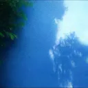 nlson_ff