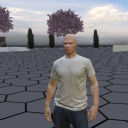 avatar วินเทอร์เฟล