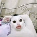verzyverzy