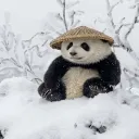 sincerepanda