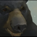 Avatar for bearlongnight
