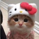 avatar bingsulovr2194