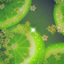 avatar 𝕷𝖆𝖓𝖊