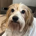 abbbey