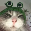 vixlpoopoo
