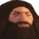 hagrd