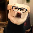 agentkaffekanne